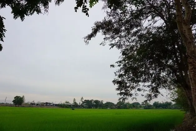 Khlong Luang