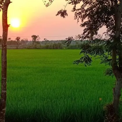 Khlong Luang