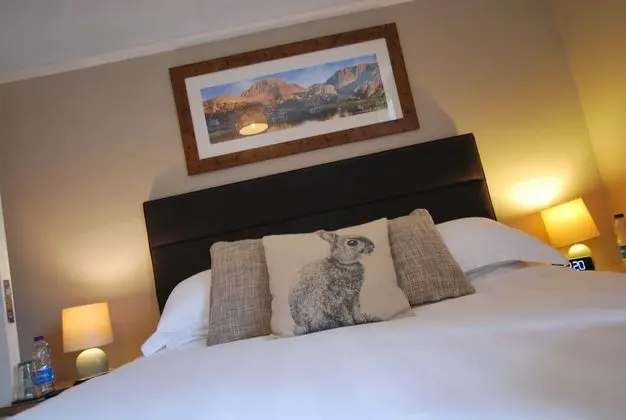 Tek Büyük Yataklı Oda, Banyolu/Duşlu