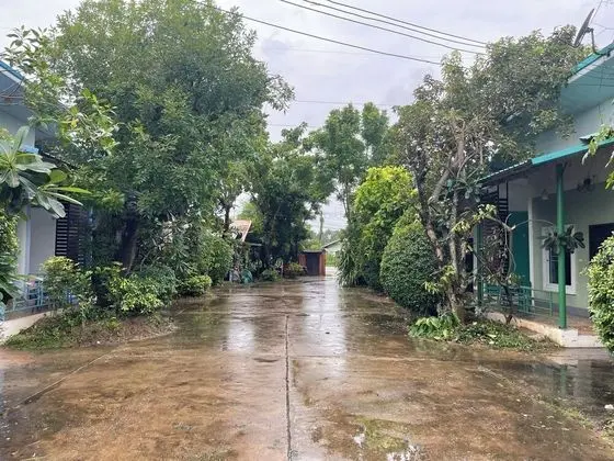 Basic İki Ayrı Yataklı Oda