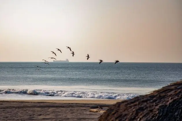 Comfort Süit, Okyanusa Sıfır (Escondido)