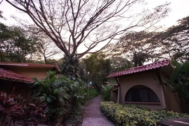 Standard Oda, 2 Çift Kişilik Yatak (Selvamar)