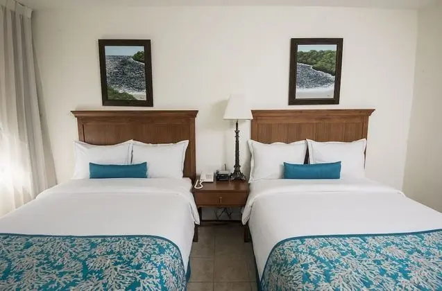 Standard Oda, 2 Çift Kişilik Yatak (Selvamar)