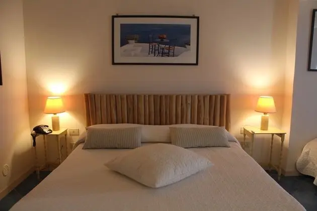 Superior Tek Büyük Yataklı Oda