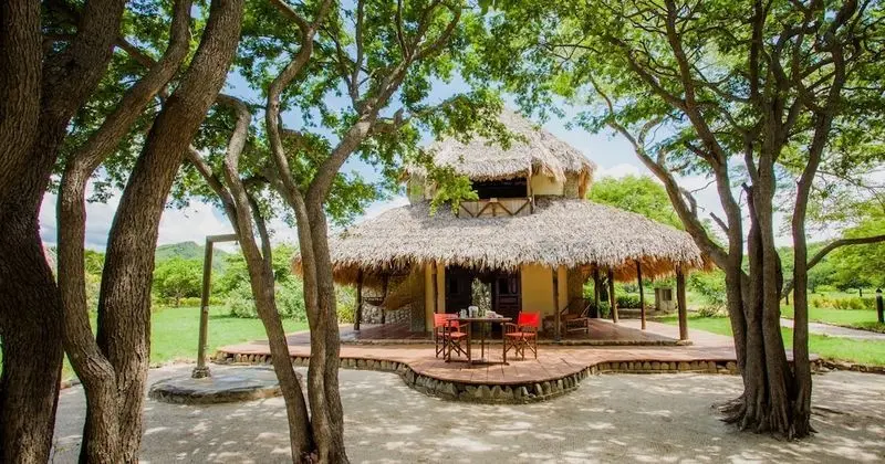 Superior Bungalov, 1 Yatak Odası, Denize Sıfır (With Fan)