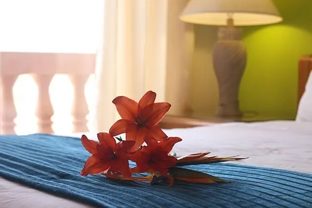 Comfort Oda, 1 Yatak Odası