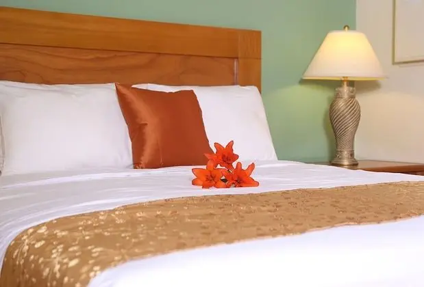 Comfort Tek Büyük Yataklı Oda, 2 Yatak Odası