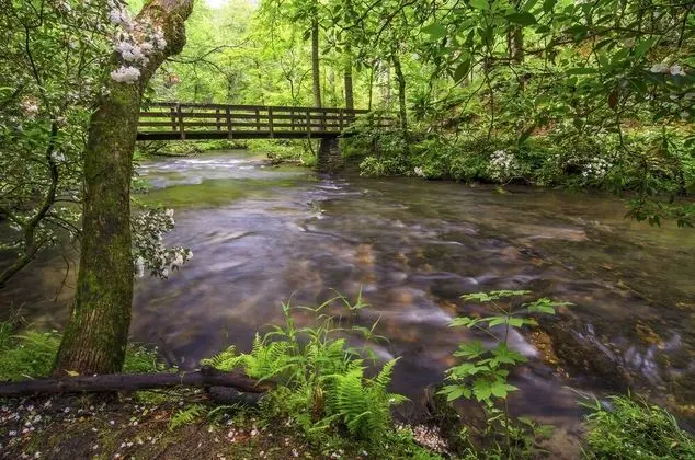 Kulübe (Puppies Hollow)