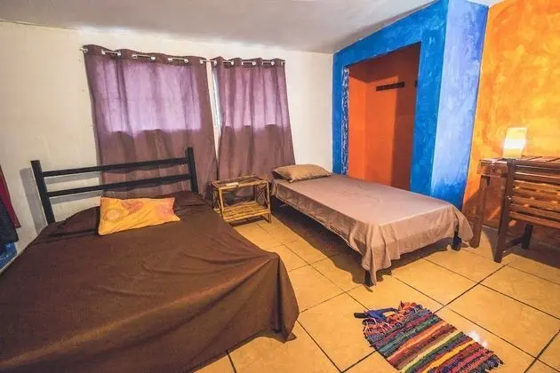 Standard Dört Kişilik Oda, 1 Yatak Odası, Ortak Banyo, Bahçe Manzaralı
