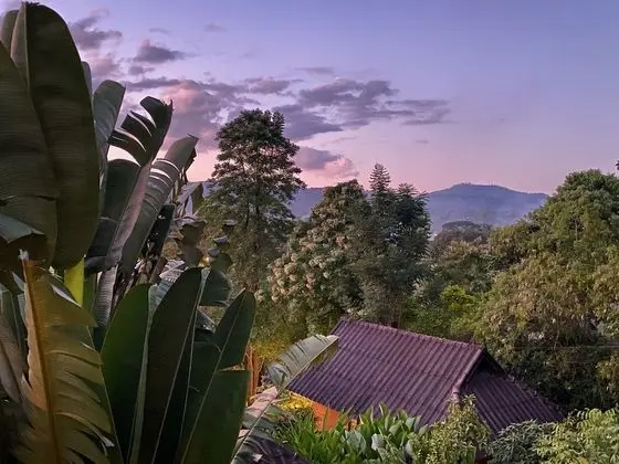 Superior Villa