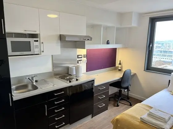 Comfort Apart Daire, Banyolu/Duşlu, Şehir Manzaralı (1 bed Pure Astor House)