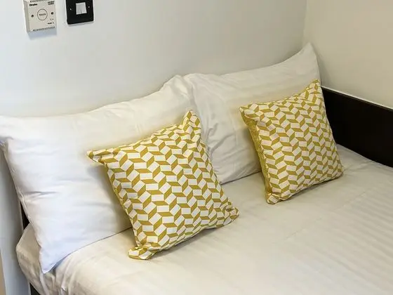 Deluxe Tek Büyük Yataklı Oda, Banyolu/Duşlu (Pure Astor House)