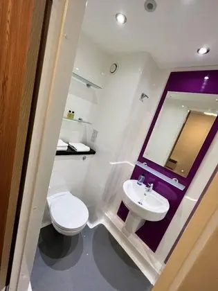 Deluxe Tek Büyük Yataklı Oda, Banyolu/Duşlu (Pure Astor House)