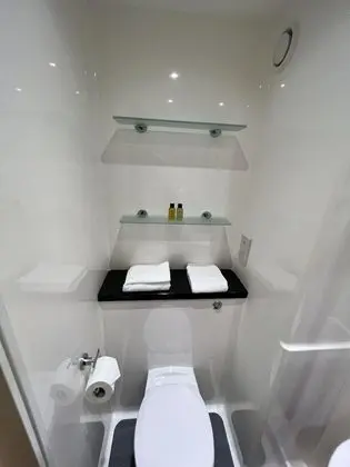 Deluxe Tek Büyük Yataklı Oda, Banyolu/Duşlu (Pure Astor House)