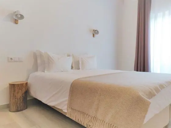 Standard Tek Büyük Yataklı Oda (1)
