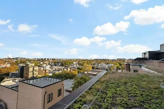 Exclusive Çatı Katı Süiti (Penthouse)