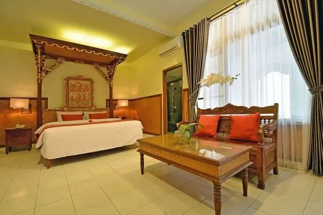 Deluxe Tek Büyük Yataklı Oda (Room Only)