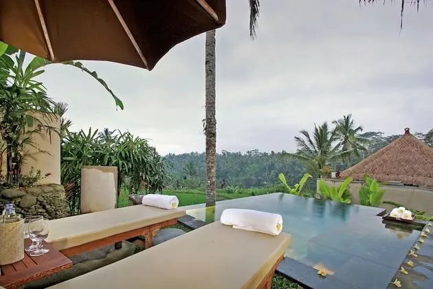 Rice Field View Private Pool Villa