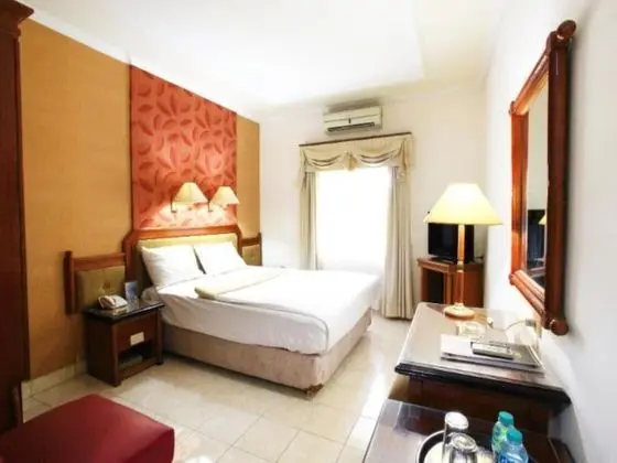 Superior Tek Büyük Yataklı Oda