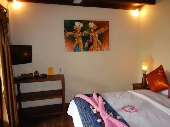 Tek Büyük Yataklı Oda, 1 Büyük (Queen) Boy Yatak, Bahçe Manzaralı (Hot Water)