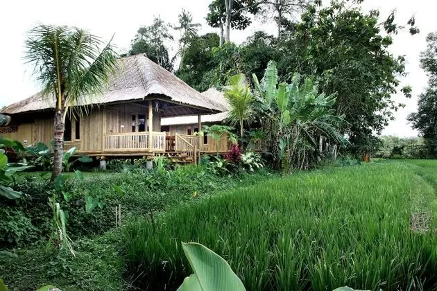 Standard Oda (Bamboo House)