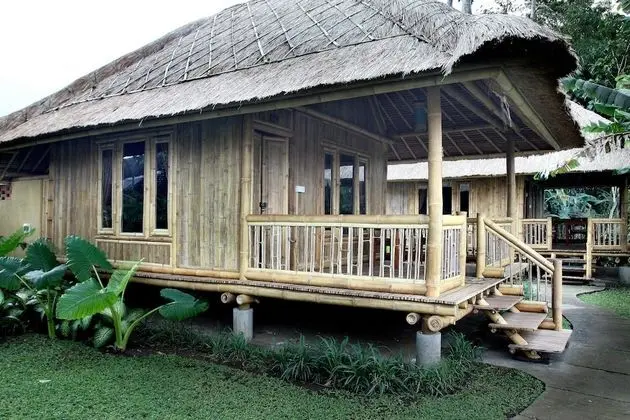Standard Oda (Bamboo House)
