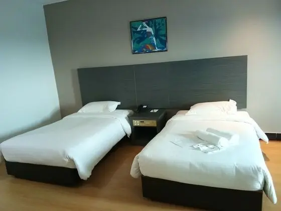 Deluxe İki Ayrı Yataklı Oda