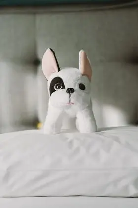 Classic Tek Kişilik Oda