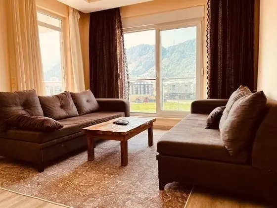 Basic Apartment