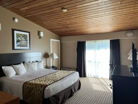 Standard Oda, 1 En Büyük (King) Boy Yatak, Buzdolabı ve Mikrodalga