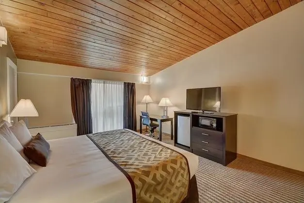 Standard Oda, 1 En Büyük (King) Boy Yatak, Buzdolabı ve Mikrodalga