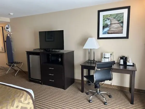 Standard Oda, 1 En Büyük (King) Boy Yatak, Buzdolabı ve Mikrodalga