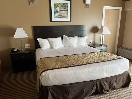 Standard Oda, 1 En Büyük (King) Boy Yatak, Buzdolabı ve Mikrodalga