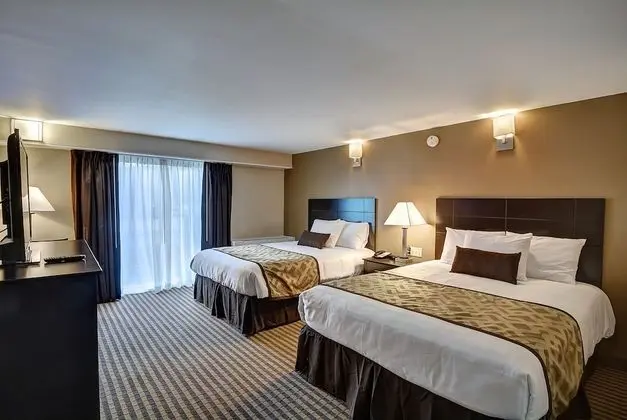 Standard Oda, 2 Büyük (Queen) Boy Yatak, Buzdolabı ve Mikrodalga