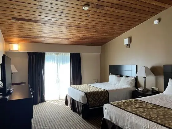 Standard Oda, 2 Büyük (Queen) Boy Yatak, Buzdolabı ve Mikrodalga