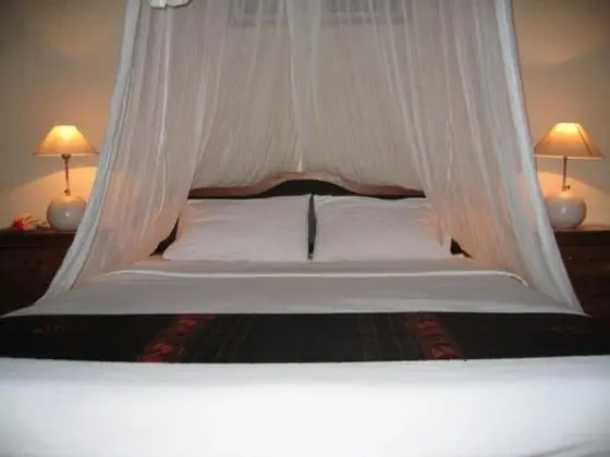 Deluxe Villa, 1 Yatak Odası
