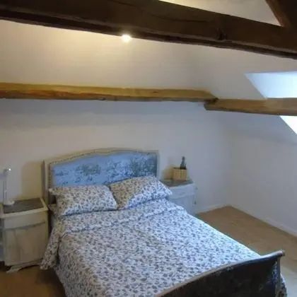 Family Oda, Bahçe Manzaralı