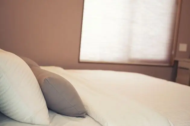 Tek Büyük Yataklı Oda, Bahçe Manzaralı (Korean nationals NOT allowed)