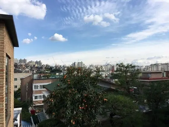 Tek Büyük Yataklı Oda, Bahçe Manzaralı (Korean nationals NOT allowed)