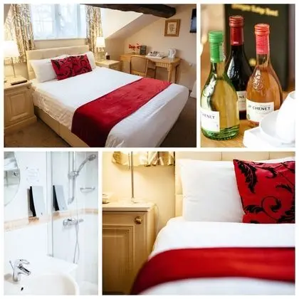 Tek Büyük Yataklı Oda, Banyolu/Duşlu