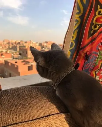 Büyük Yataklı Tek Kişilik Oda, 1 Çift Kişilik Yatak, Balkon