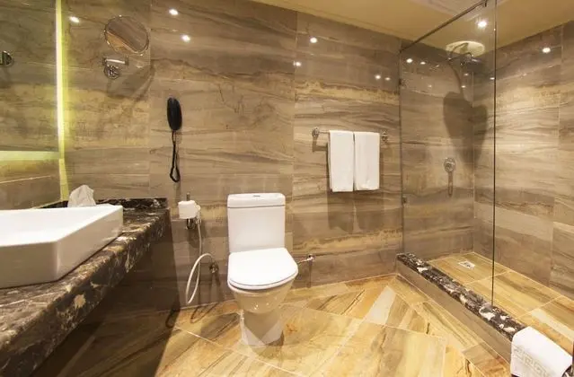 Deluxe Tek Büyük veya İki Ayrı Yataklı Oda