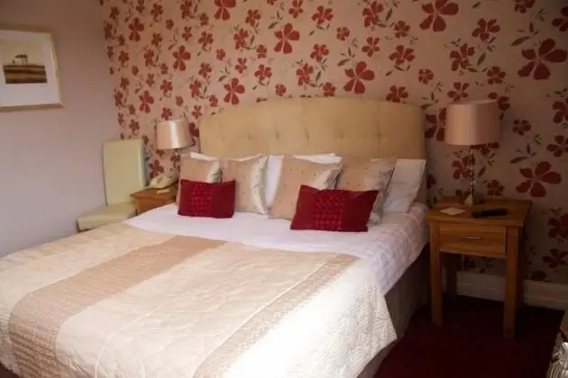 Premium Tek Büyük Yataklı Oda