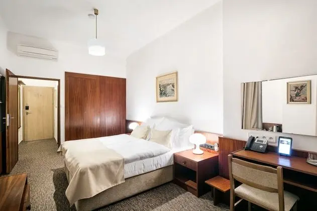 Deluxe Büyük Yataklı Tek Kişilik Oda (with Whirlpool)