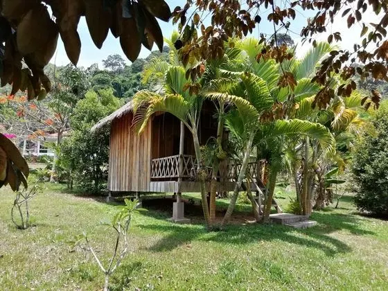 Standard Bungalov, Ortak Banyo (Double - with Fan)