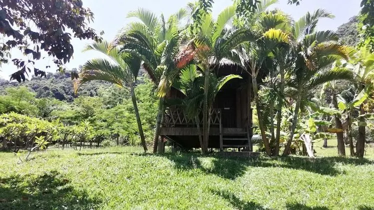 Standard Bungalov, Ortak Banyo (Double - with Fan)