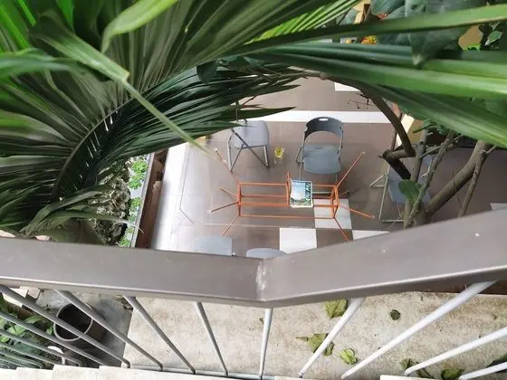 City Villa, Birden Çok Yatak Odası, Sigara İçilmez, Bahçe Manzaralı