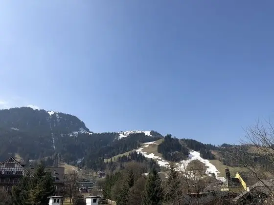 Tek Büyük Yataklı Oda (Hahnenkamm)