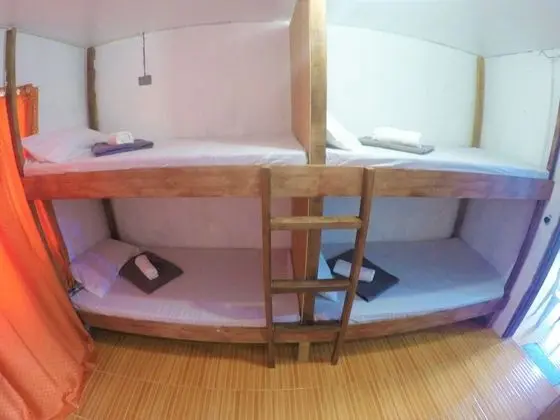 Basic Ortak Ranzalı Oda, Karma Ranzalı Oda (Bed in 4-bed, A/C)