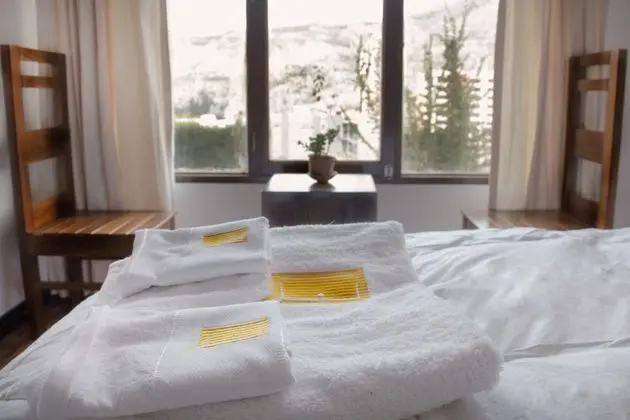 Deluxe İki Ayrı Yataklı Oda, 2 Tek Kişilik Yatak, Şehir Manzaralı